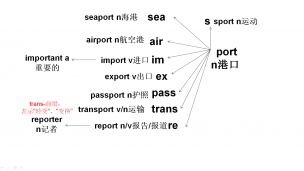 port-import-passport-report